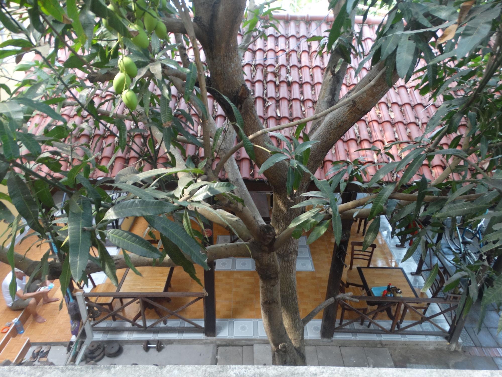 הוי אן Yellow House Homestay מראה חיצוני תמונה