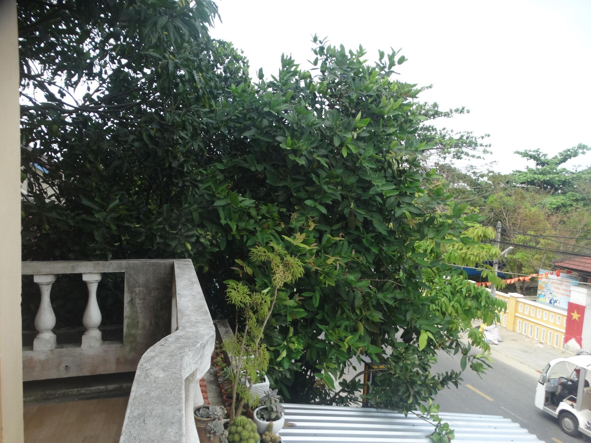 הוי אן Yellow House Homestay מראה חיצוני תמונה