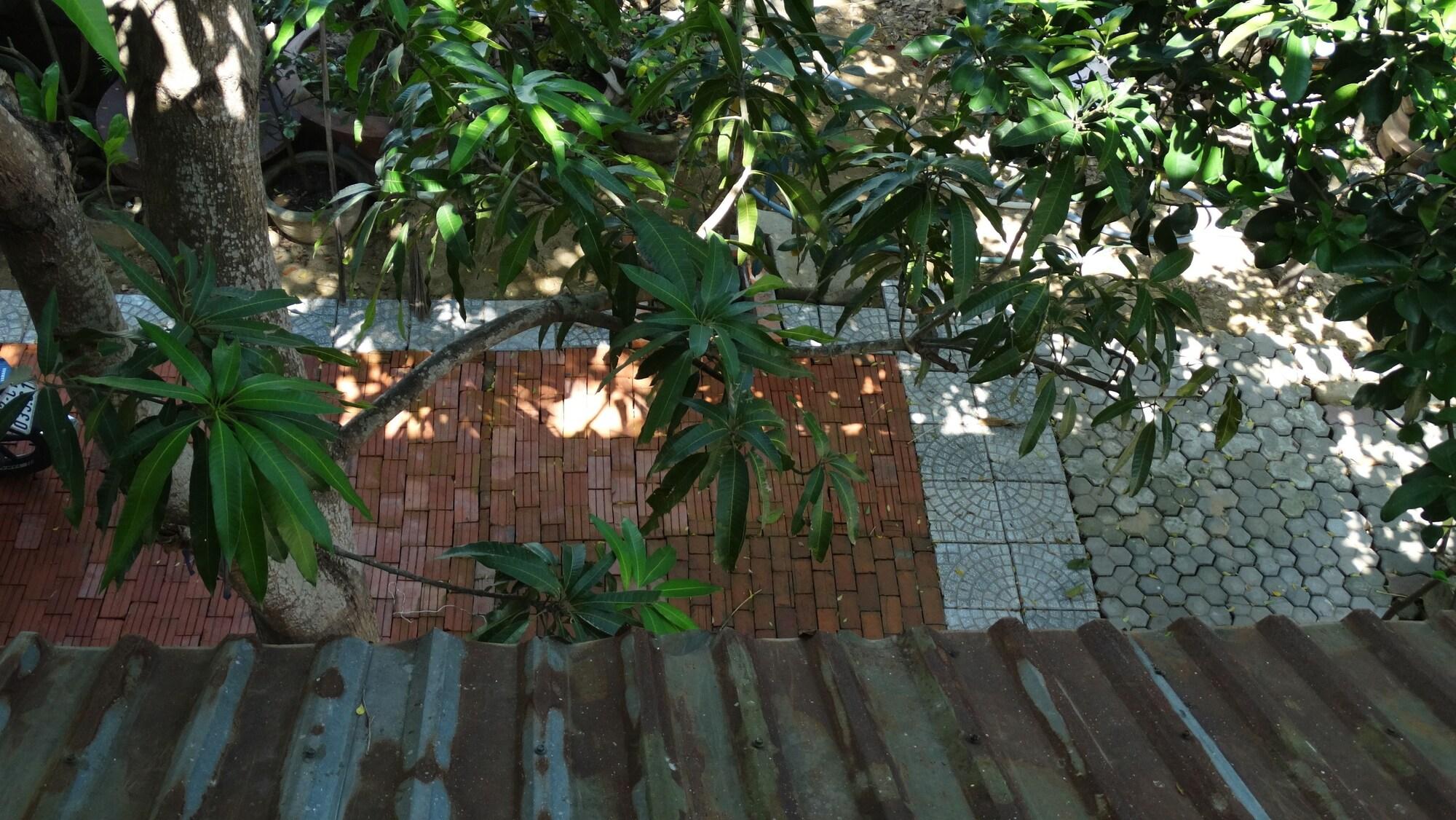 הוי אן Yellow House Homestay מראה חיצוני תמונה