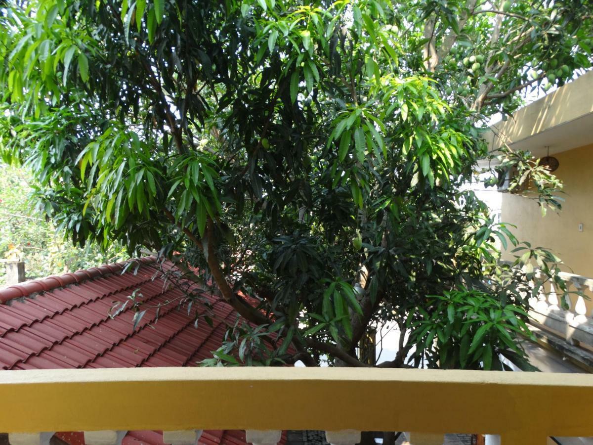 הוי אן Yellow House Homestay מראה חיצוני תמונה