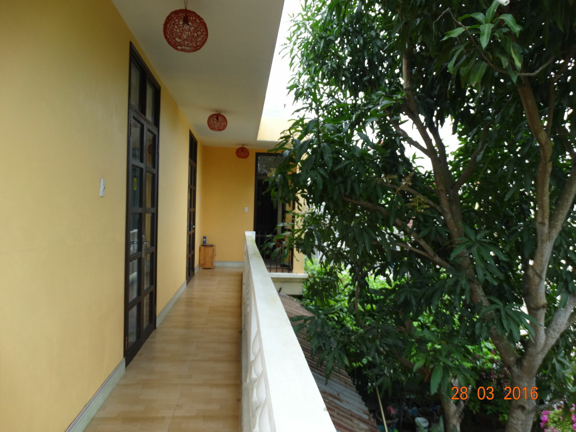 הוי אן Yellow House Homestay מראה חיצוני תמונה